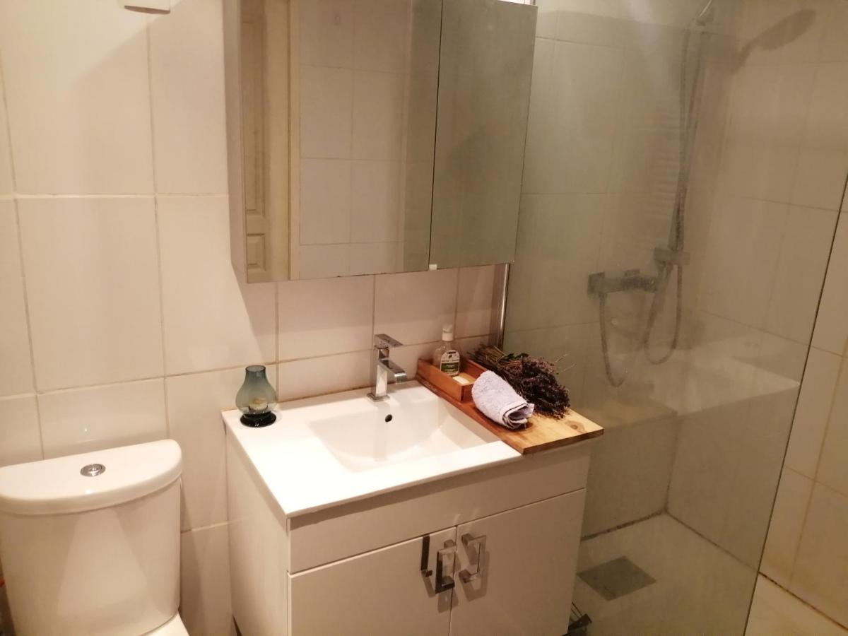 ליון Loft Viarhona, Grand Loft En Centre-Ville מראה חיצוני תמונה