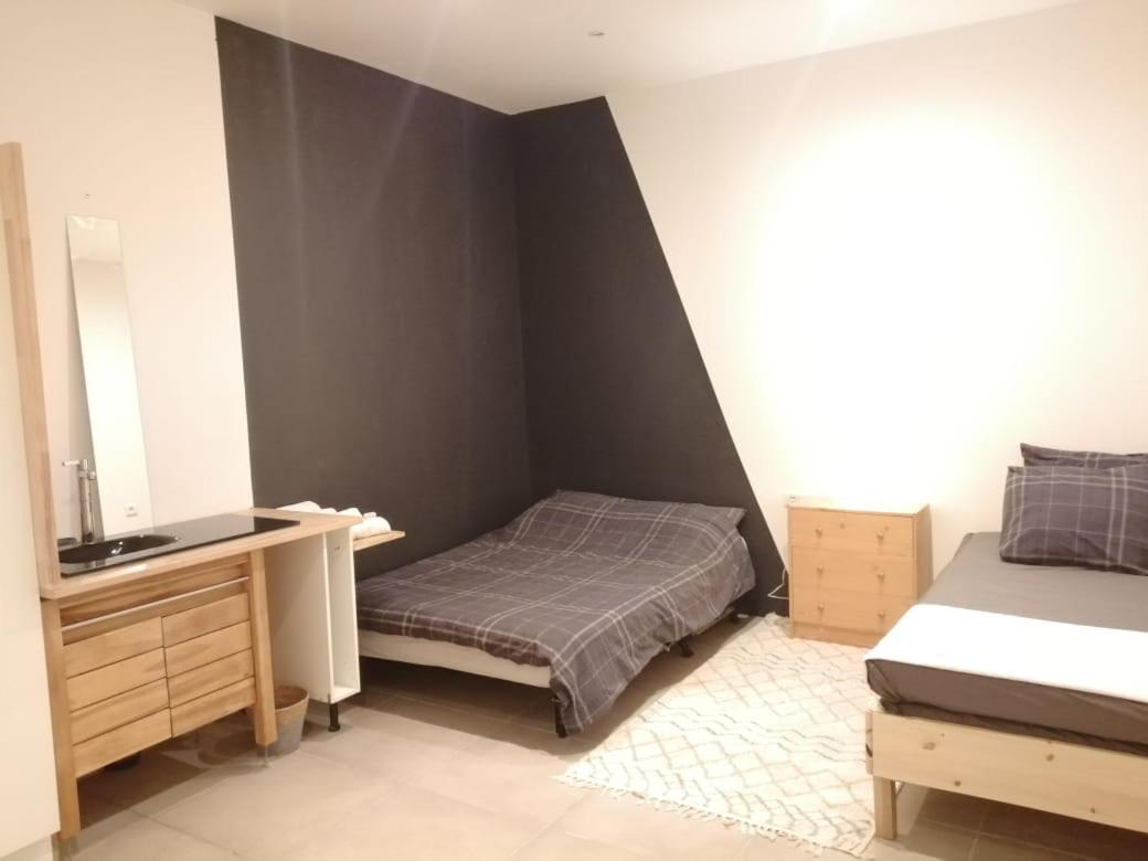 ליון Loft Viarhona, Grand Loft En Centre-Ville מראה חיצוני תמונה